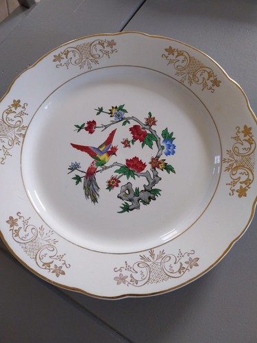Plat rond - plat, kg